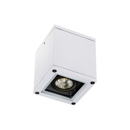 Zambelis E270 Plafon Zewnętrzny