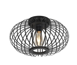 Lampa Sufitowa RACOON Paul Neuhaus 11410-18