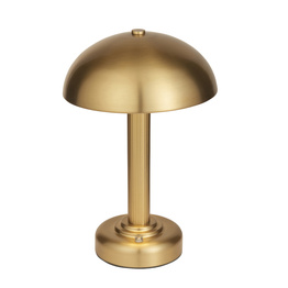 Lampka Biurkowa Endon Bridport Rechargeable 110455