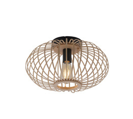 Lampa Sufitowa RACOON Paul Neuhaus 11410-79