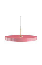 Zwis VITA Copenhagen Asteria 2422