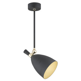 Lampa Wisząca Argon Charlotte 4686