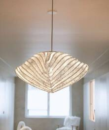 Zwis Arturo Alvarez Lea