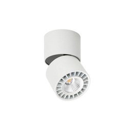 Italux Herios Reflektor CLN-97018-12W-L-3K