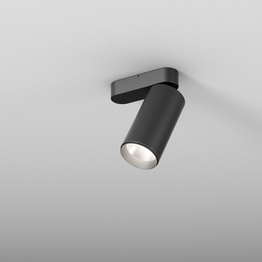 AQform Lampa sufitowa Pet 16467-M930-WB-00-12