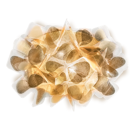 Slamp Clizia Mama Non Mama CLIWM00GNM00000000EU Lampa Ścienna