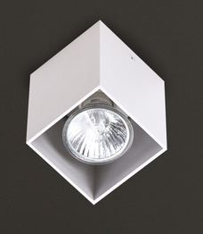 Lampa Sufitowa Maxlight Pet Square C0082