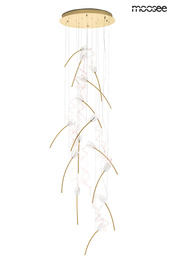 Zwis Moosee Tulippe MSE1501100171