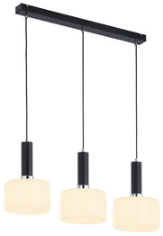 Zwis Jupiter Vanes 1863