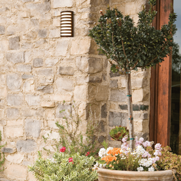 Lampa Ścienna Zambelis E341