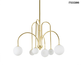 Zwis Moosee Neri MSE010100318