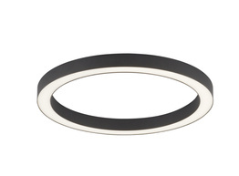 Lampa Sufitowa PURE-LINES Paul Neuhaus 6309-13