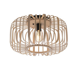 Lampa Sufitowa RACOON Paul Neuhaus 11413-79