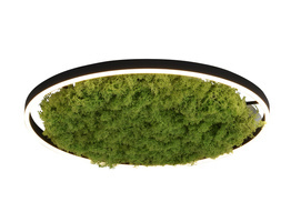 Lampa Sufitowa Ritus Paul Neuhaus 15392-66