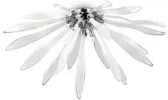 Corallo PL6 white Ideal Lux lampa Sufitowa