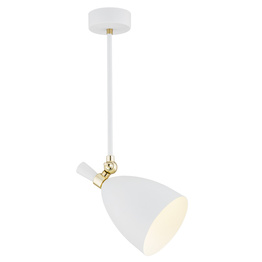 Lampa Wisząca Argon Charlotte 4684