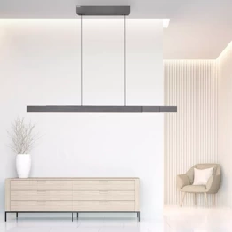 Zwis PURE-MOTO-RISE Paul Neuhaus 2545-15