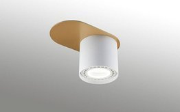 Spot Sufitowy Thoro Runni Złoto Biały