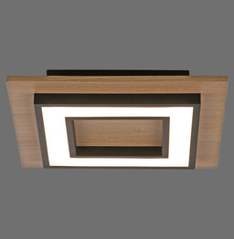 Plafon Zuma Line Tola 003902-031866