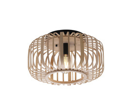 Lampa Sufitowa RACOON Paul Neuhaus 11412-79