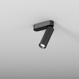 AQform Lampa sufitowa Pet 16469-M930-WB-00-12