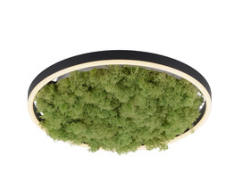 Lampa Sufitowa Ritus Paul Neuhaus 15391-66