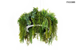 Zwis Moosee Gardens MSE1501100436