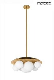 Zwis Moosee Bacardi MSE1501100439