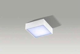 Falco AZ2781 Plafon Azzardo