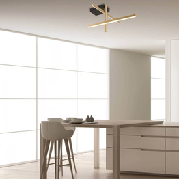 Plafon Zambelis 22024