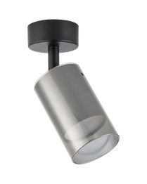 Lampa Ścienna Zuma Line Ren 003064-031526