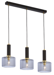 Zwis Jupiter Vanes 1851