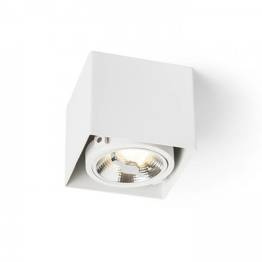 R13361 James Spot Redlux DIMM