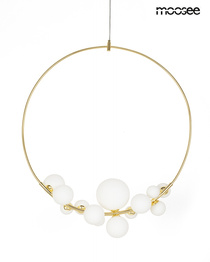 Zwis Moosee Rocio MSE1501100552