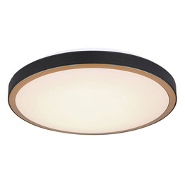 Plafon ledowy Globo Lighting Sammi 41765-24 42cm