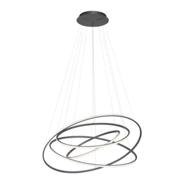 Zwis Tessara Paul Neuhaus 2124-13