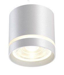 Oprawa natynkowa ledowa biała Dann Lux Design REGE WH 3K DLD5320 3000K