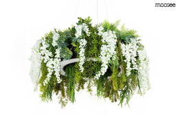 Zwis Moosee Gardens MSE1501100437.WIST