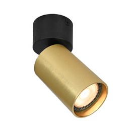 Reflektor Italux Nesto Spl-23436-1R-Bk-Brss