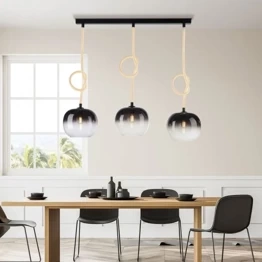 Zwis LUMA Paul Neuhaus 2411-18