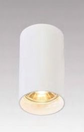 Tuba 92679-N Plafon Zuma Line