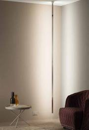 Zwis MA&DE XILEMA 7774